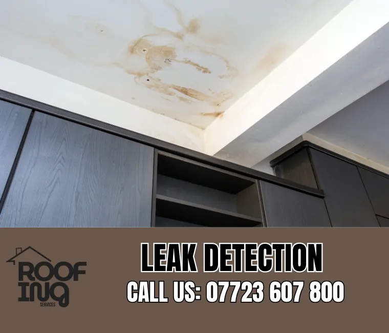 Roof leak detection and repair in Ottery St Mary