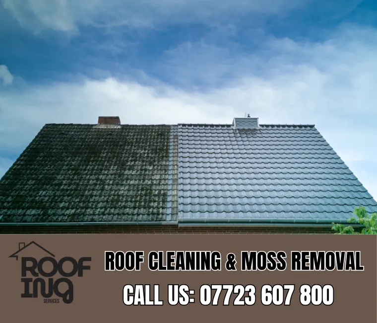 Roof Cleaning in Ottery St Mary